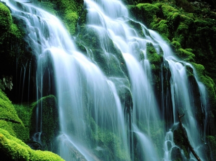intuitive solutions,intuitive decision making,inner guidance,pendulum divination,pendulum charts.